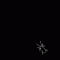 ant