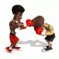 boxer