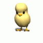 chick